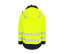 GREGOR